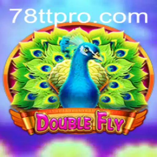 Explore the Thrilling World of DoubleFly: Rules and Game Description